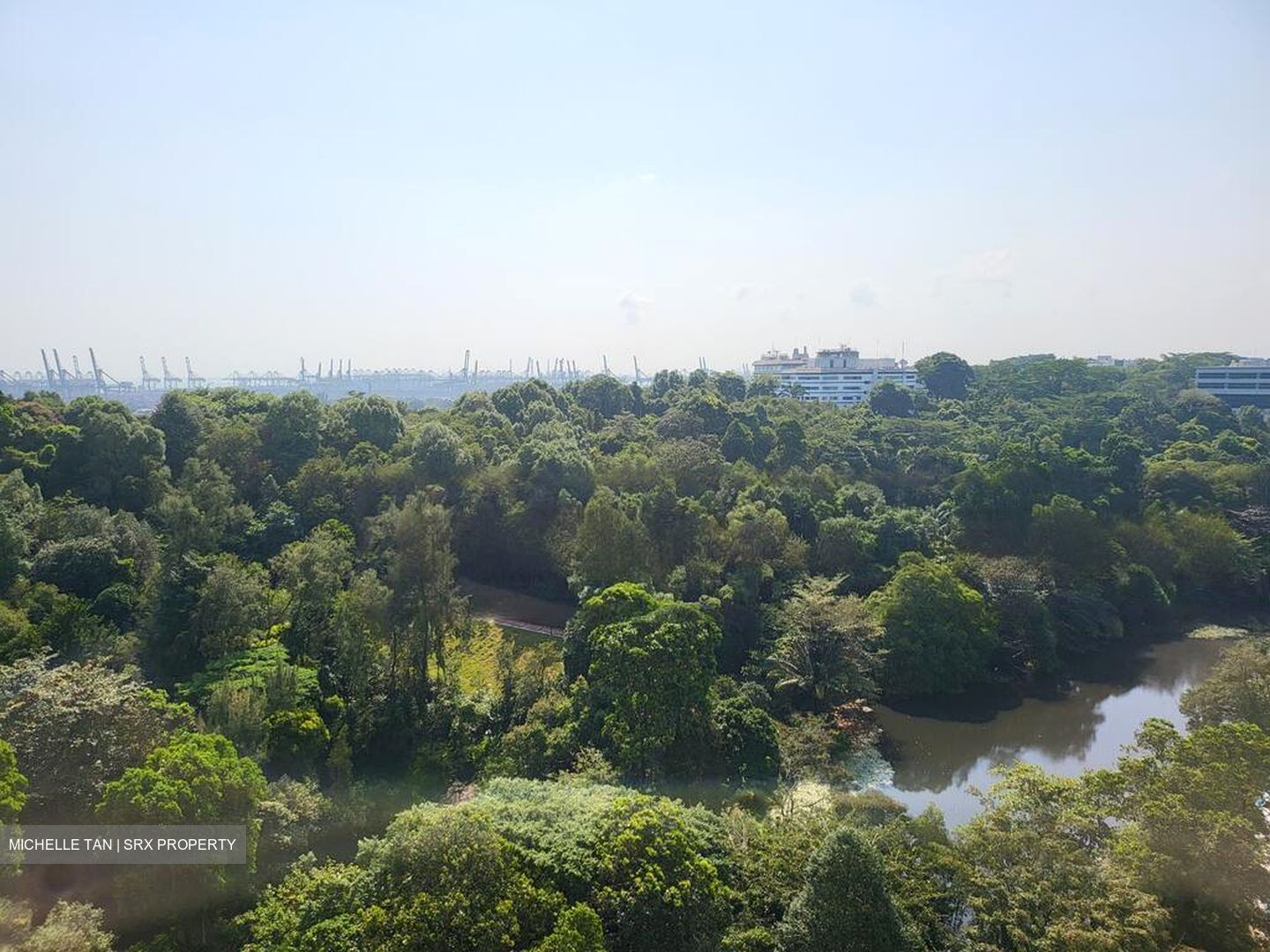 Normanton Park (D5), Apartment #482558491